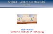 APh161 - Lecture 15: Molecular Motors Rob Phillips California Institute of Technology.