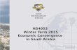 NS4053 Winter Term 2015 Economic Convergence in Saudi Arabia.