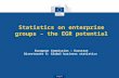 Eurostat Statistics on enterprise groups – the EGR potential European Commission – Eurostat Directorate G: Global business statistics.