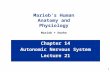 1 Chapter 14 Autonomic Nervous System Lecture 21 Marieb’s Human Anatomy and Physiology Marieb  Hoehn.
