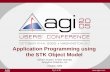 Pg 1 of 30 AGI  Application Programming using the STK Object Model Sylvain Dupont & Alan Ocampo Analytical Graphics, Inc October 2005.