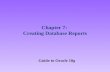Chapter 7: Creating Database Reports Guide to Oracle 10g.