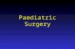 Paediatric Surgery. Paediatric Surgery Attractions The last great surgical speciality General paediatric surgery Urology Colo-rectal Neurosurgery Surgical.