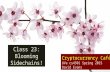 Cryptocurrency Café UVa cs4501 Spring 2015 David Evans Class 23: Blooming Sidechains!