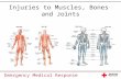 Emergency Medical Response Injuries to Muscles, Bones and Joints.