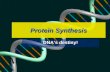 Protein Synthesis DNA’s destiny! Protein Review Long chains (POLYPEPTIDES) formed by 20 different amino acidsLong chains (POLYPEPTIDES) formed by 20.