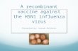 A recombinant vaccine against the H5N1 influenza virus Presented by: Steven Mitchell.