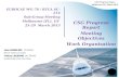 CSG Progress Report Melbourne (FL), March 2013 1 EUROCAE WG-78 / RTCA SC-214 Sub-Group Meeting Melbourne (FL), US 25-29 March 2013 CSG Progress Report.