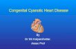 Congenital Cyanotic Heart Disease By Dr SS Kalyanshettar. Assoc Prof.