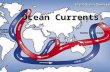 Ocean Currents. Huge Rivers in the Ocean Ocean currents are huge rivers flowing within the ocean. Each current has its own temperature and its own saltiness.