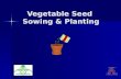 Vegetable Seed Sowing & Planting. Why Plant Seeds? Variety Saves money Head start on harvest and bloom Select plants well adapted to our climate by using.