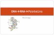 Biology DNA  RNA  Proteins. REVIEW! What is DNA? Deoxyribonucleic Acid (DNA) Monomers made up of nucleotides: Nucleotides consist of: A five carbon.