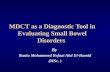 MDCT as a Diagnostic Tool in Evaluating Small Bowel Disorders By Rania Mohammed Refaat Abd El-Hamid (MSc. )