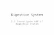 Digestive System 5.2 Investigate A&P of digestive system.