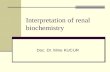 Interpretation of renal biochemistry Doc. Dr. Mine KUCUR.
