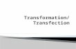 Transfection-Transfer of non-viral genetic material into eukaryotic cells.  Infection/ Transduction- Transfer of viral genetic material into cells.