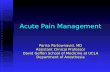 Acute Pain Management Parisa Partownavid, MD Assistant Clinical Professor David Geffen School of Medicine at UCLA Department of Anesthesia.