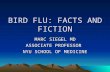 BIRD FLU: FACTS AND FICTION MARC SIEGEL MD ASSOCIATE PROFESSOR NYU SCHOOL OF MEDICINE.