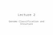 Lecture 2 Genome Classification and Structure. The size of viruses.