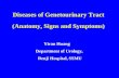 Diseases of Genetourinary Tract (Anatomy, Signs and Symptoms) Yiran Huang Department of Urology, Renji Hospital, SSMU.