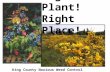 Right Plant! Right Place!  King County Noxious Weed Control Program.