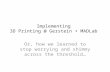 Implementing 3D Printing @ Gerstein + MADLab Or, how we learned to stop worrying and shimmy across the threshold…