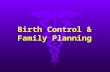 Birth Control & Family Planning. Birth Control Choices  Married life with children  Married life without children.