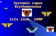 Systemic Lupus Erythematosus Iris Zink, CRNP Objectives Discuss pathophysiology of SLE and its various presentations Discuss impact of SLE on patient’s.