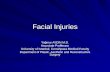 Facial Injuries Yağmur AYDIN M.D. Associate Proffessor University of Istanbul, Cerrahpasa Medical Faculty Department of Plastic, Aesthetic and Reconstructive.