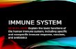 IMMUNE SYSTEM SC.912.L.14.52 SC.912.L.14.52 Explain the basic functions of the human immune system, including specific and nonspecific immune response,