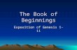 The Book of Beginnings Exposition of Genesis 1-11.