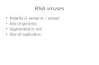RNA viruses Polarity (+ sense or – sense) Size of genome Segmented or not Site of replication.