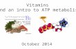 Vitamins (and an intro to ATP metabolism) October 2014.