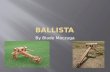 By Blade Maczuga.  The Ballista was created by the Greeks using their new innovation called the Torsion spring.  A Torsion spring is when a spun rope.