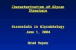 Characterization of Glycan Structure Essentials in Glycobiology June 1, 2004 Brad Hayes.
