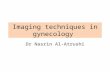 Imaging techniques in gynecology Dr Nasrin Al-Atrushi.