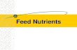 Feed Nutrients.. Objectives Identify sources of nutrients and classes of feeds related to the ruminant and non-ruminant animals Describe sources of nutrients.