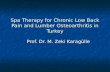 Spa Therapy for Chronic Low Back Pain and Lumber Osteoarthritis in Turkey Prof. Dr. M. Zeki Karagülle.