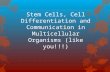 Stem Cells, Cell Differentiation and Communication in Multicellular Organisms (like you!!!)