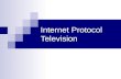 Internet Protocol Television. Table of Contents IPTV – Definition History IPTV services in the World IPTV - in numbers What Is IPTV TV distribution methods.
