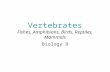 Vertebrates Fishes, Amphibians, Birds, Reptiles, Mammals Biology B.