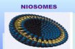 They represents a structure similar to liposome and hence they can represent alternative vesicular systems with respect to liposomes. a) Niosomes are.