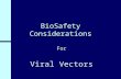 BioSafety Considerations For Viral Vectors. Biosafety Considerations of Viral Vectors n Lifestyles of the Small & Infectious n Terminology of Gene Expression.