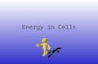 Energy in Cells. Objectives: SWBAT: Describe low of energy through living systems Compare chemical processes of autotrophs and heterotrophs Describe role.