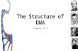 The Structure of DNA Chapter 12.2 Mendel Watson Crick Franklin.