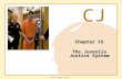 CJ © 2011 Cengage Learning Chapter 15 The Juvenile Justice System.