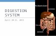 DIGESTION SYSTEM April 20-21, 2015. Functions 1. Ingestion (intake of food) 2. Digestion (physical and chemical break down of food) 3. Absorption (passage.