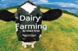 Dairy Farming By Grace Krick. Dairy Farming Dairy farming was very important in the late 1800s. Dairy farms produced food like cheese and milk. Dairy.