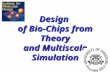 Design of Bio-Chips from Theory and Multiscale Simulation.
