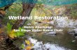 Wetland Restoration Henry Abarbanel San Diego Water Board Chair.